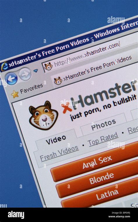 free video porn hamster